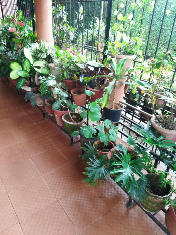 Hidden gem home stay -2 - image 27