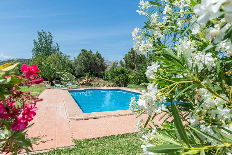Villa Lucas - image 1