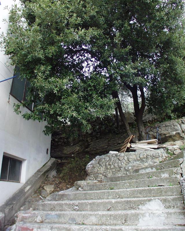 Apartments with a parking space Zivogosce - Porat Makarska - 1055 - image 31