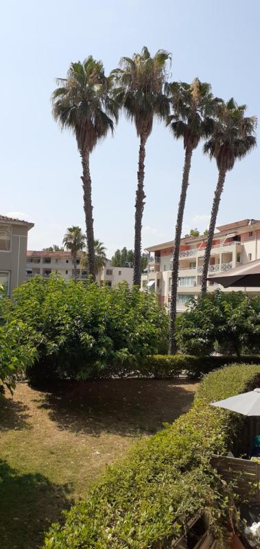 Le Cyana - image 6