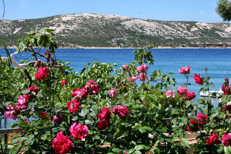 Apartments by the sea Stara Novalja Pag - 4106 - image 37