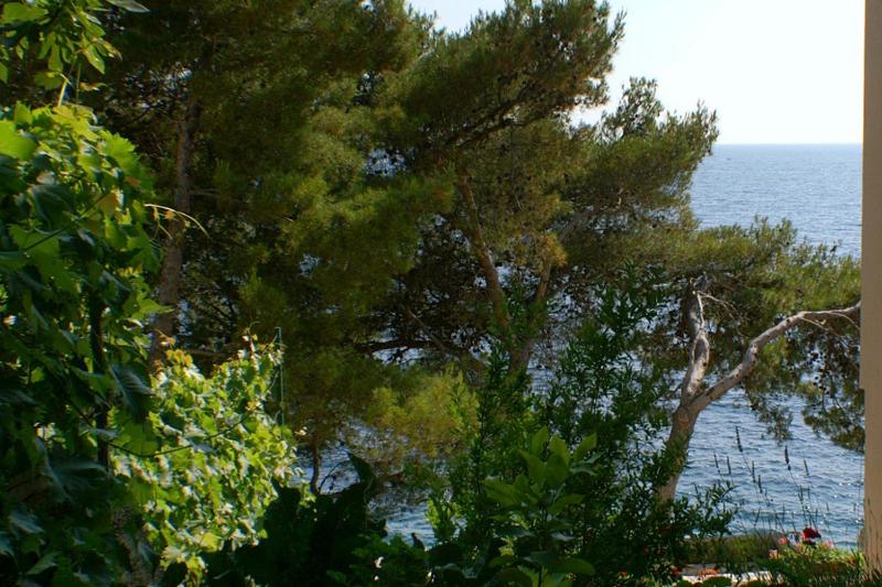 One-Bedroom Apartment with Terrace and Sea View image 3