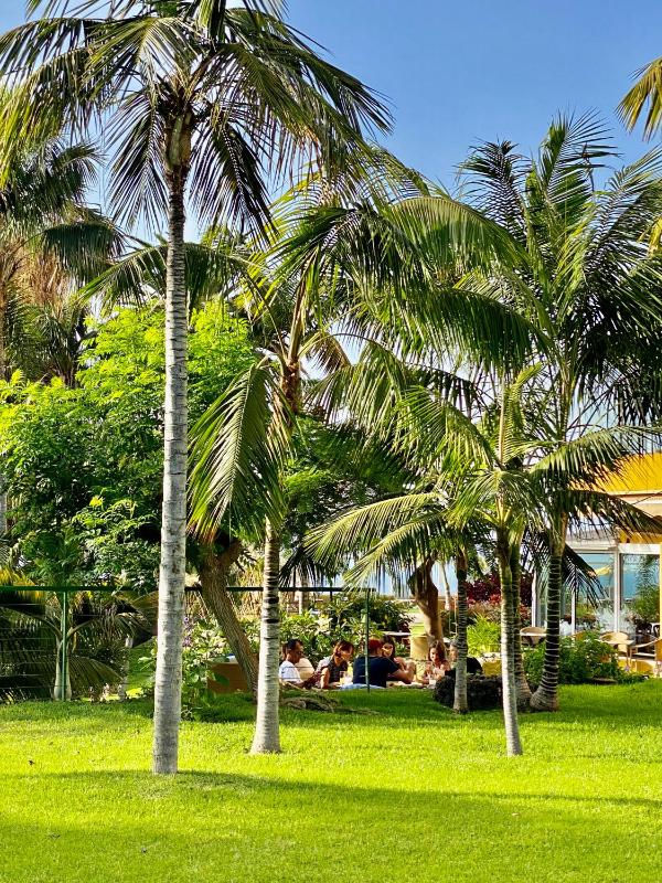 Hotel Tigaiga - image 16