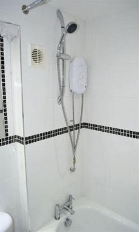 One-Bedroom Apartment (4 persons) image 4