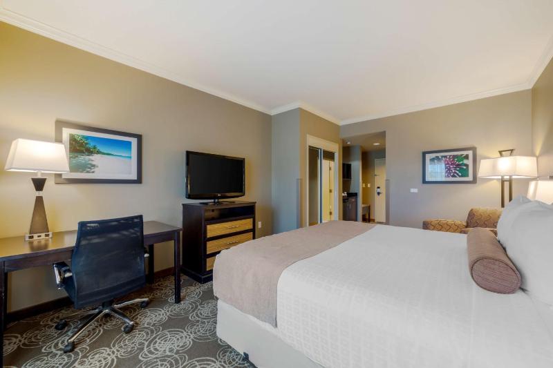 King Suite with Sofa Bed and Kitchenette - Non-Smoking image 2