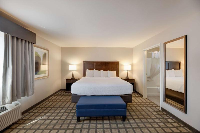 King Suite with Sofa Bed image 4