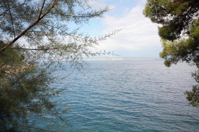 One-Bedroom Apartment with Terrace and Sea View image 2