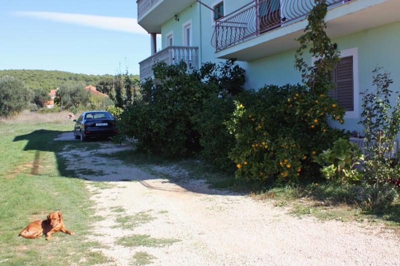 Apartments with parking spaces Bibinje Zadar - 5753 - image 31