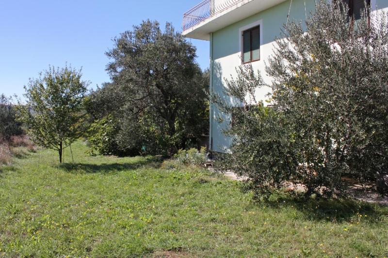 Apartments with parking spaces Bibinje Zadar - 5753 - image 24