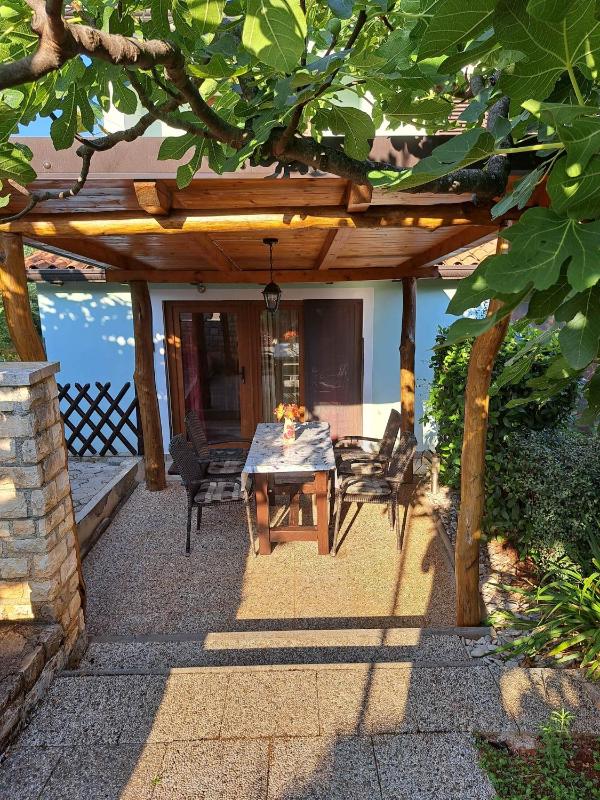 One-Bedroom Apartment with Terrace image 3