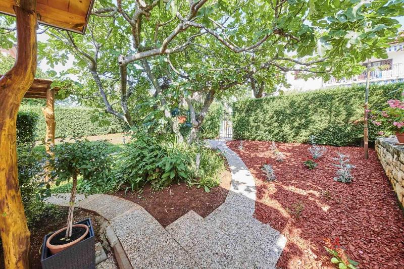 One-Bedroom Apartment with Terrace image 2