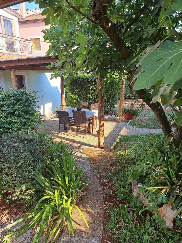 One-Bedroom Apartment with Terrace image 3