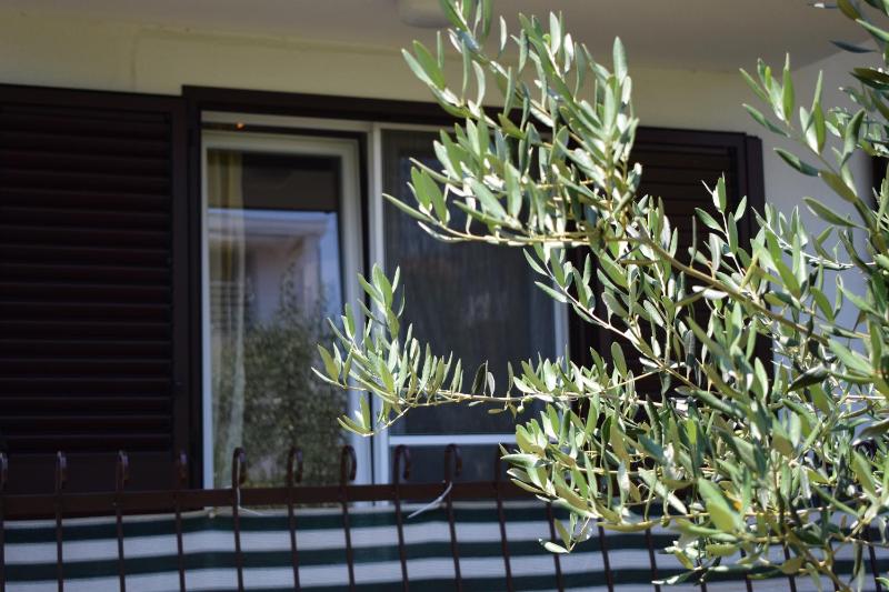 Studio with Balcony image 2