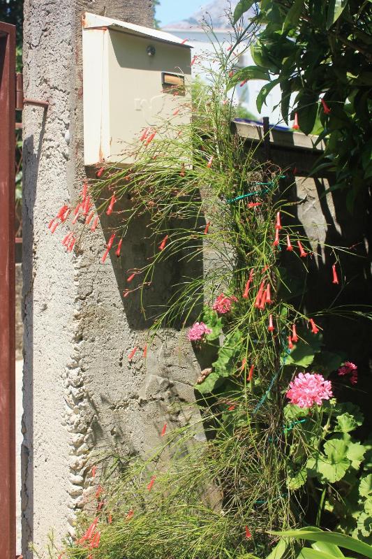 Apartments with parking space Orebic Peljesac - 4516 - image 46