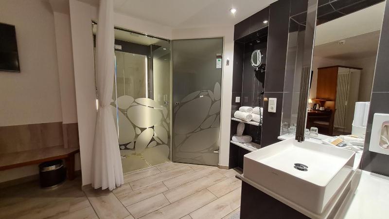 Premium Double Room image 4