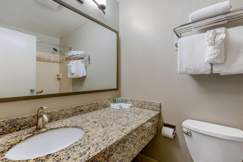 Deluxe King Room image 2