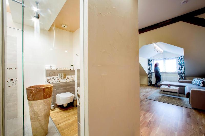 Superior King Apartment image 2