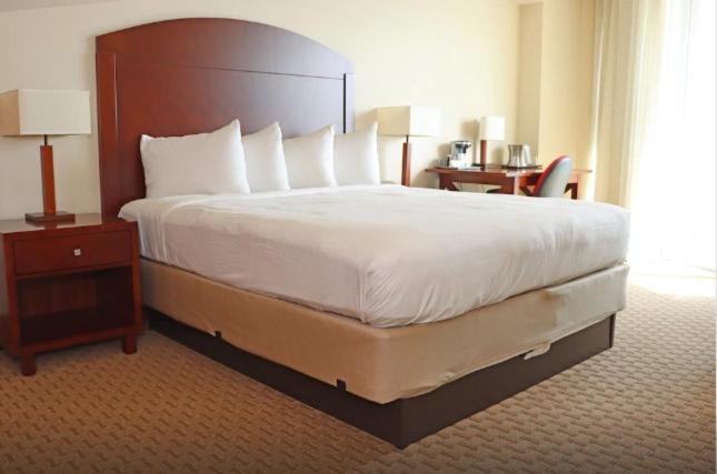 Executive Studio Suite image 1