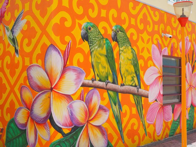 Kas di BaMi A-186 op Seru Coral Resort - Ruim appartement met groot zwembad en tropische tuin - image 32