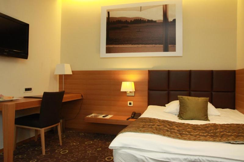 Single Room image 3