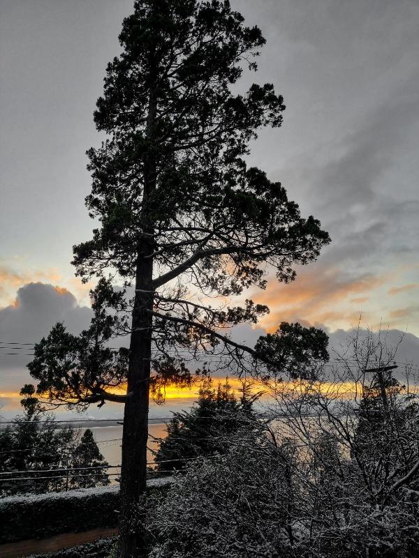 El Cencerro Bariloche - image 4