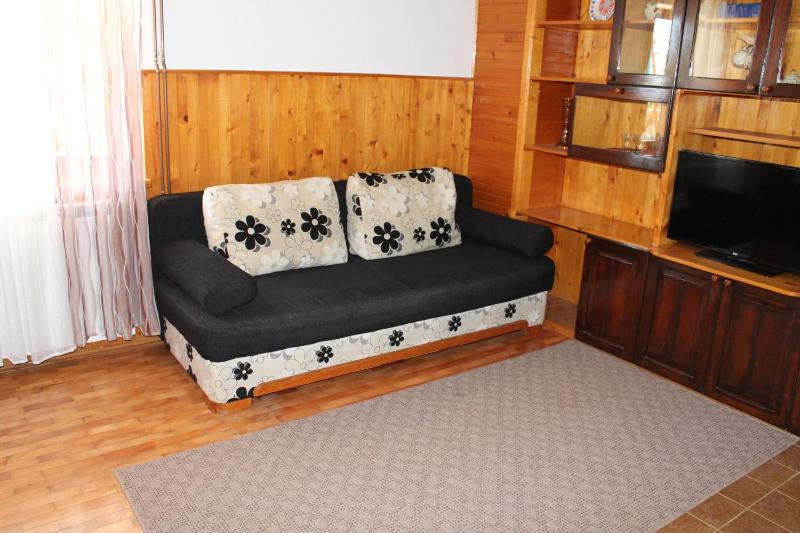 One-Bedroom Apartment with Terrace image 1