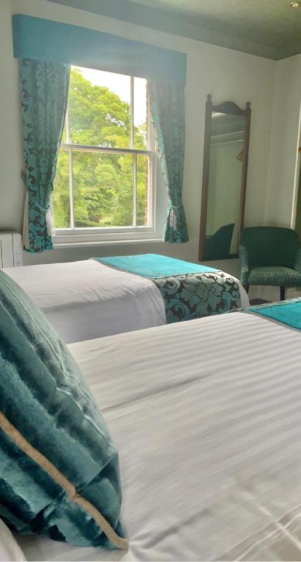 Standard Twin Room image 1