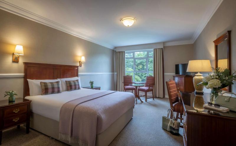 Double or Twin Room image 1