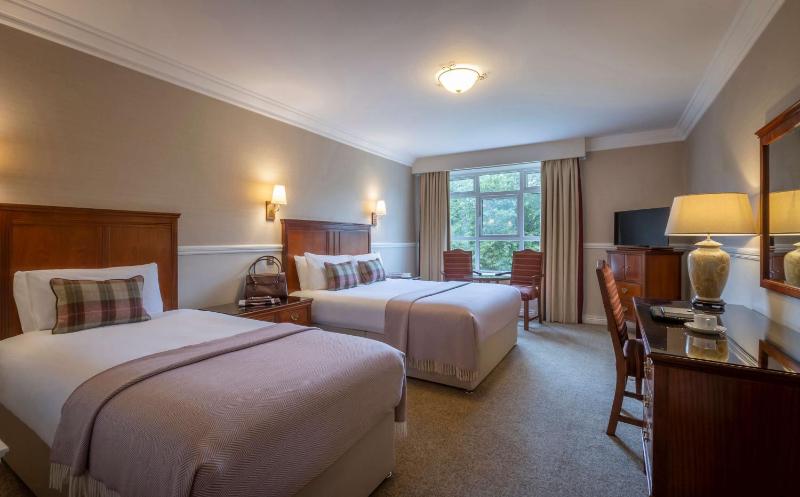 Double or Twin Room image 3