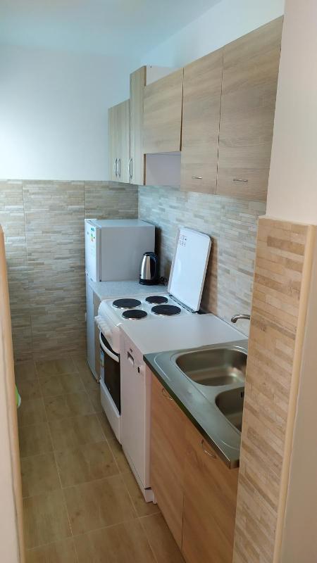 FLAT FOR RENT MARINOVIC - image 13