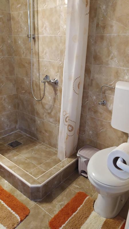 FLAT FOR RENT MARINOVIC - image 12