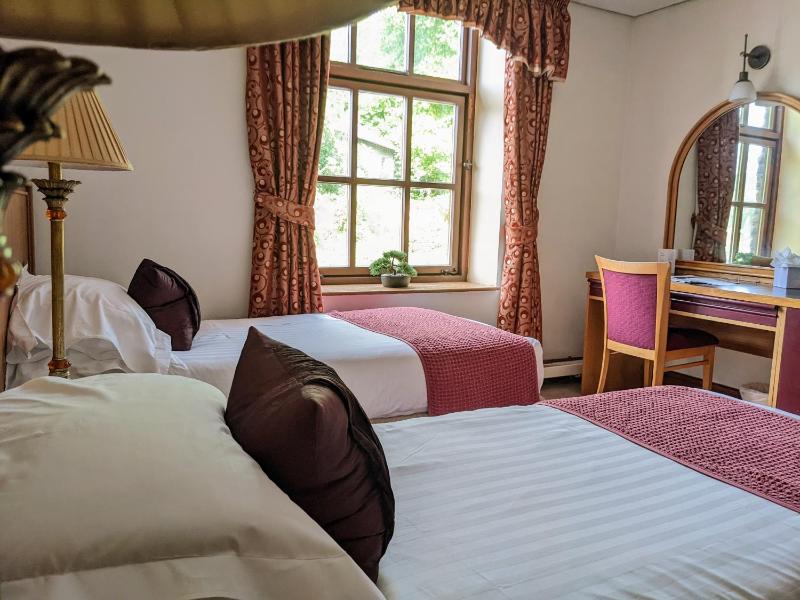 Standard Twin Room image 2