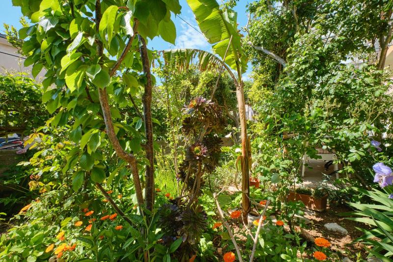 Apartments with a parking space Mali Losinj (Losinj) - 7972 - image 8
