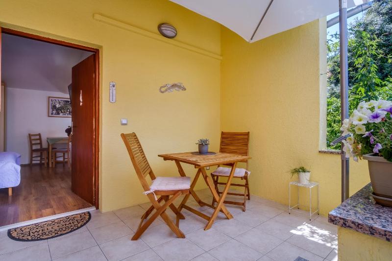 Studio with Terrace image 3