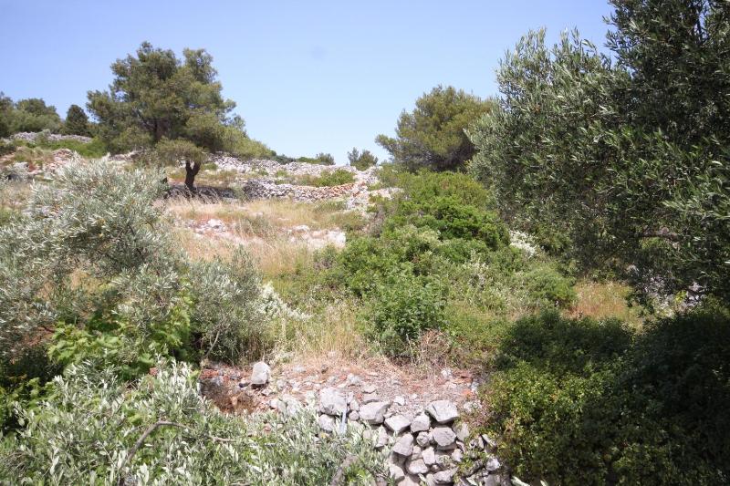 Apartment Mali Losinj 7942a - image 11
