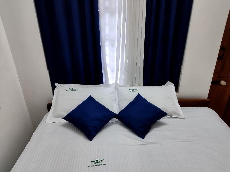 Rajpalace HOMESTAY - image 16