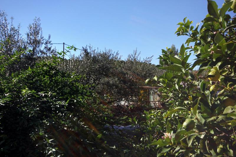 Two-Bedroom Apartment with Terrace and Sea View image 3