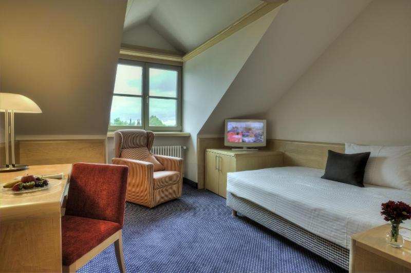 Single Room image 4