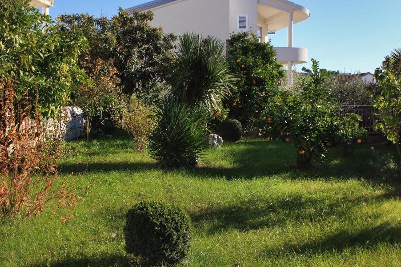 Apartments with parking space Sumpetar Omis - 9436 - image 32