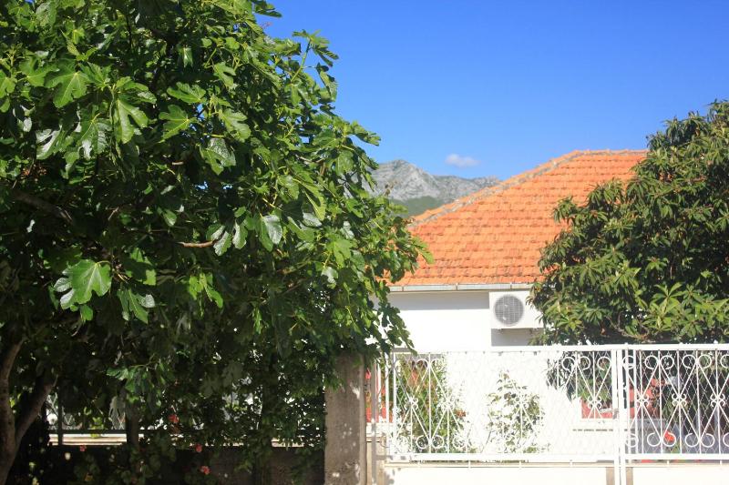 Apartments with parking space Orebic Peljesac - 10093 - image 14