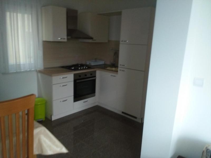 One-Bedroom Apartment image 4