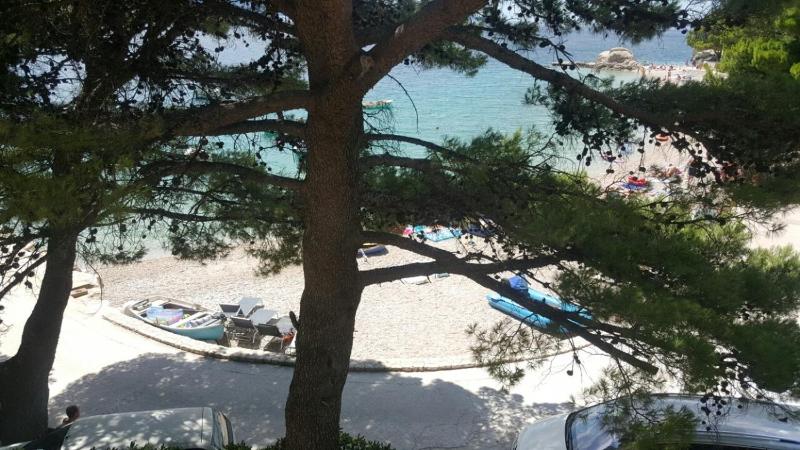 Apartments by the sea Brela Makarska - 11821 - image 19