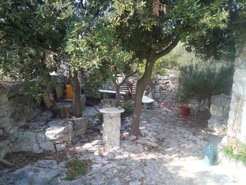 Secluded fisherman's cottage Radelj Murter - 12155 - image 8