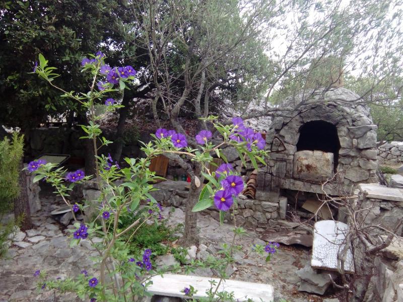 Secluded fisherman's cottage Radelj Murter - 12155 - image 7