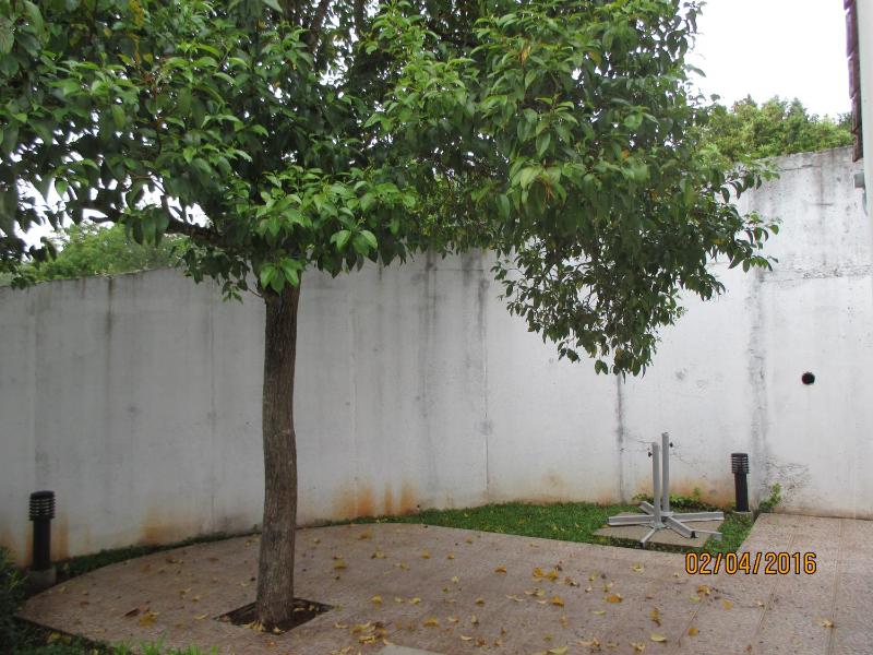 Studio with Terrace image 3