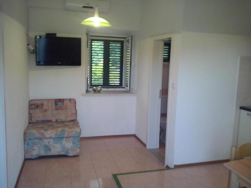 One-Bedroom Apartment image 2