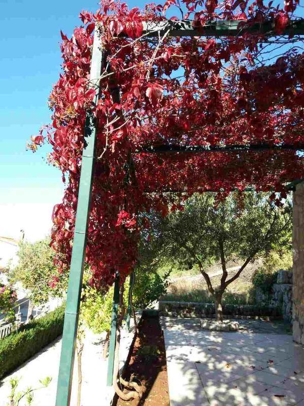 Apartments with a parking space Podgora Makarska - 12807 - image 10