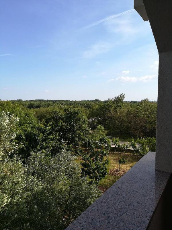 One-Bedroom Apartment with Balcony image 2