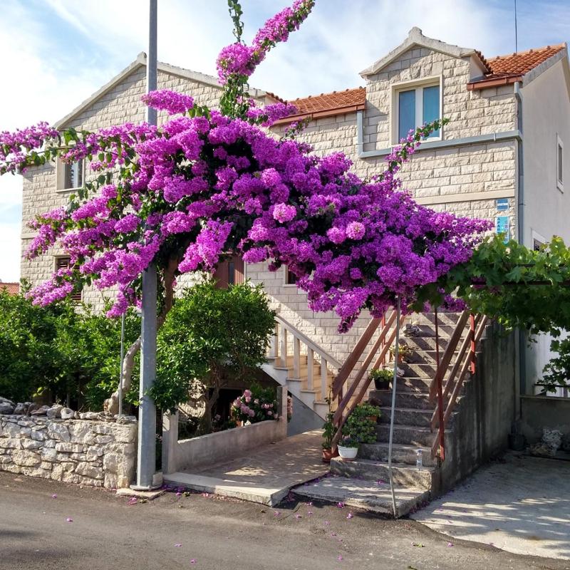 Apartments with parking space Supetar Brac - 14720 - image 14
