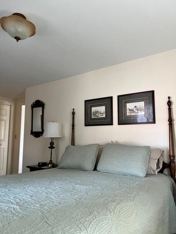 Deluxe Queen Suite image 3